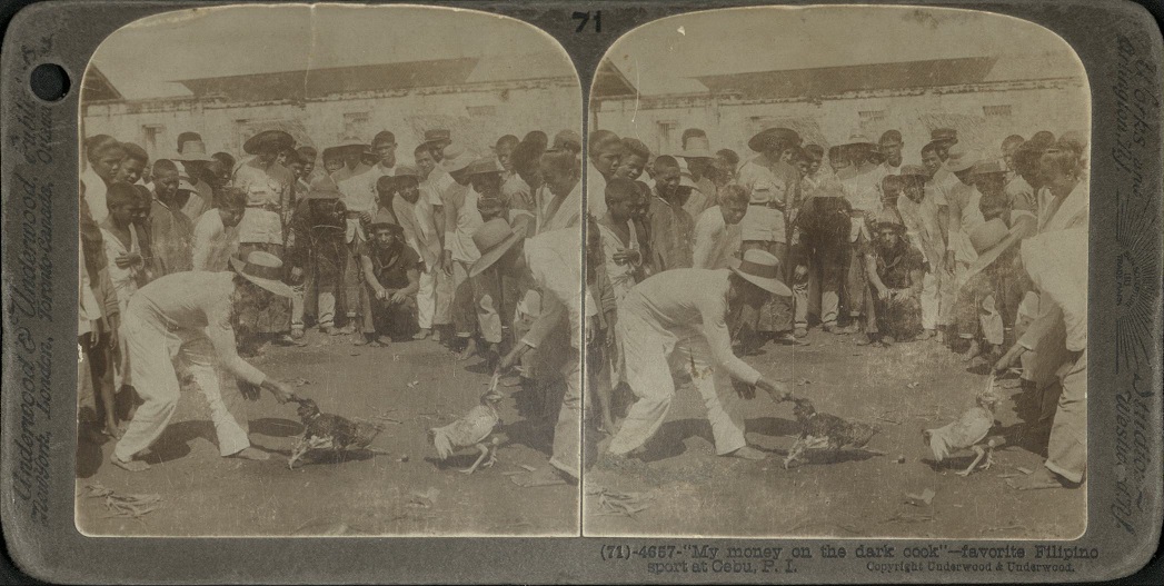“My money is on the dark cock” – favorite Filipino sport at Cebu, P. I.